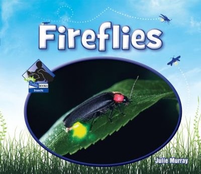 Fireflies Hardcover Julie Murray
