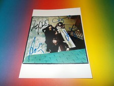 The Magic Numbers Indie Pop Signed Autographed Autograph Photo In Person