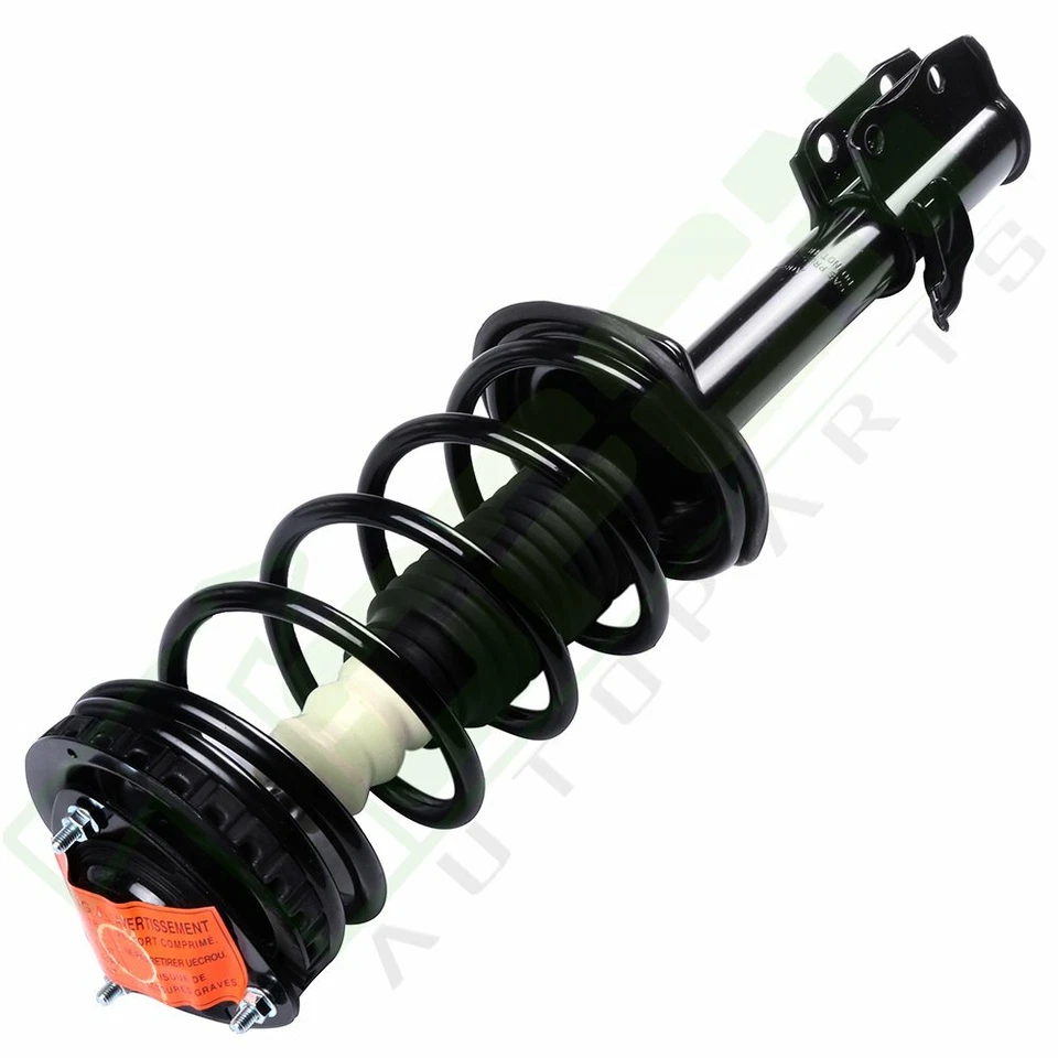 For 98-02 Subaru Forester Complete Struts Coil Spring w/ mounts Shock Set x 4 - Изображение 2 из 4