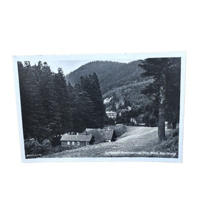 Ansichtskarte Postkarte Friedrichroda Der Grund Thüringe Wald Ungelaufen