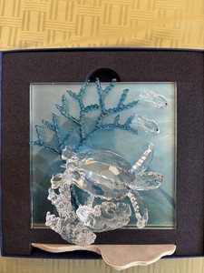 Swarovski Wonders of the Sea Eternity | eBay