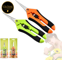 Gartenschere Set 2 StüCk FüR Bonsai Blumen Obst GemüSe PräZise Schneiden