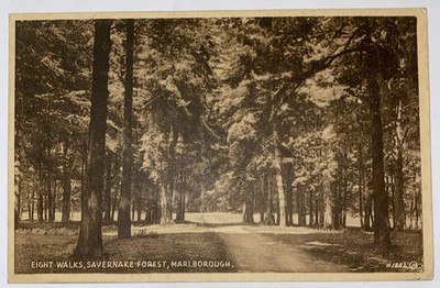 Vintage Valentine Postcard: Savernake Forest Eight Walks c1910s