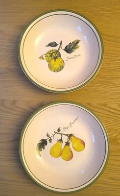 Vintage Williams-Sonoma Heirloom Tomatoes 9'' Pasta Bowls Set of 2 - Pear & Green