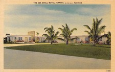 The Sea Shell Motel Naples Florida 1950s linen postcard
