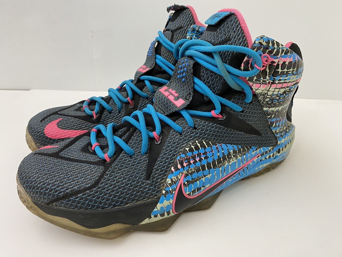 Size 11.5 - Nike LeBron 12 23 Chromosomes for sale online | eBay
