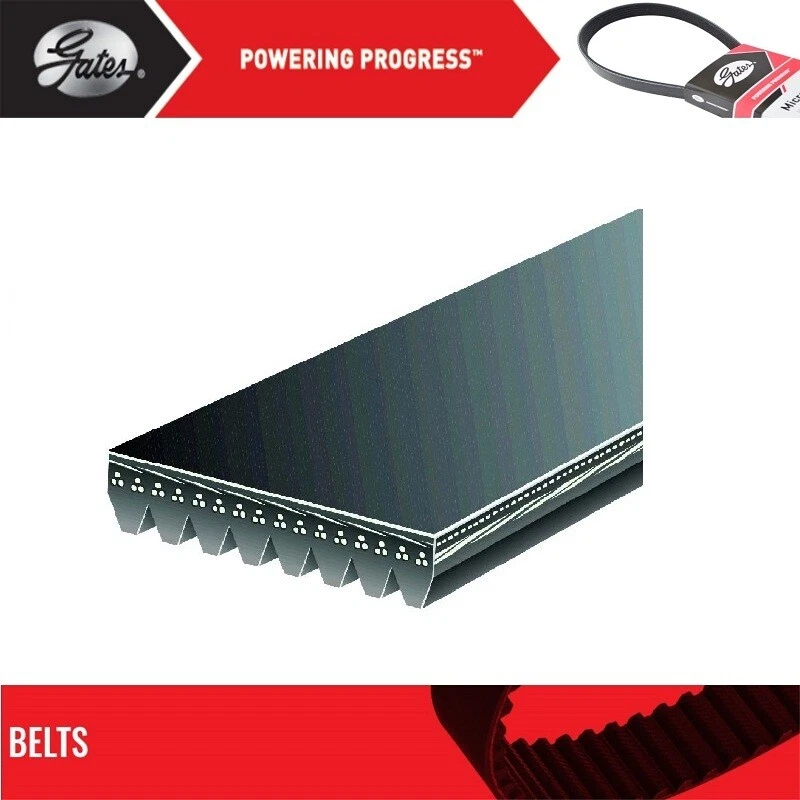 Cinturón Gates Serpentine para Ford E-250 Super Duty 1999-2003 V8-7,3 L Foto 2 de 4