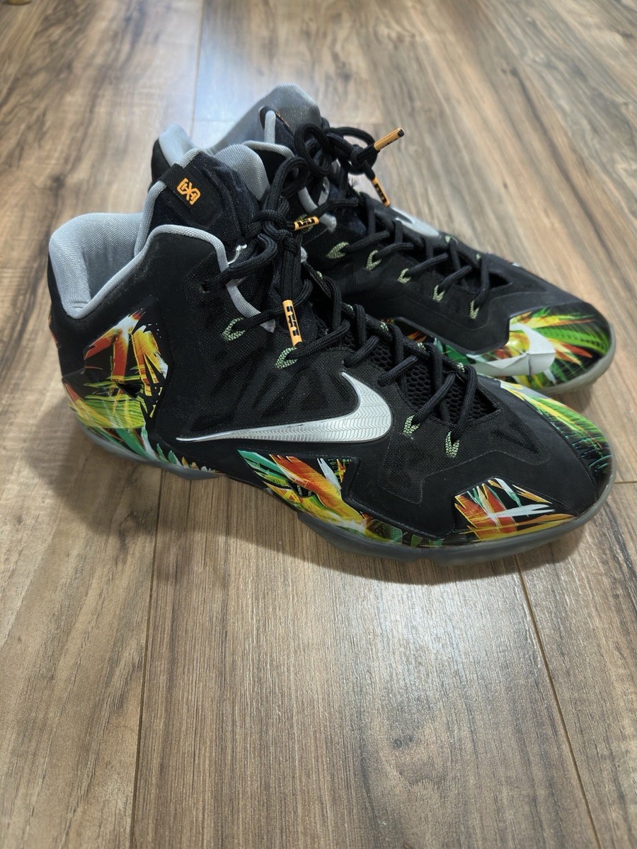 Nike LeBron James 11 Everglades 2014 Size 12 616175-006  display picture 2