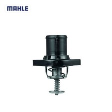 Thermostat Citroen C25