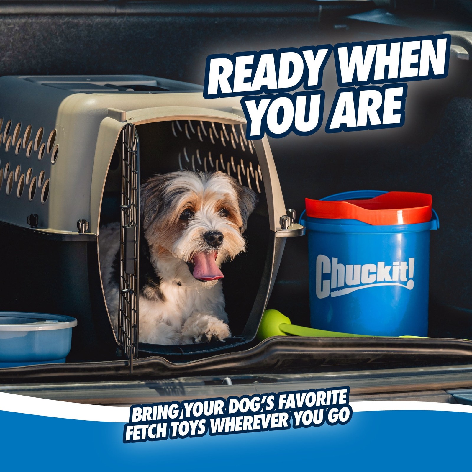 Chuckit! Ultra Ball Rubber Fetch Dog Toy with Carry and Clean Bucket
