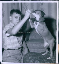 1954 Photo Kenneth Webb Jr Montoursville, P.A & 3-Legged Dog Hoppy Animals 6X8