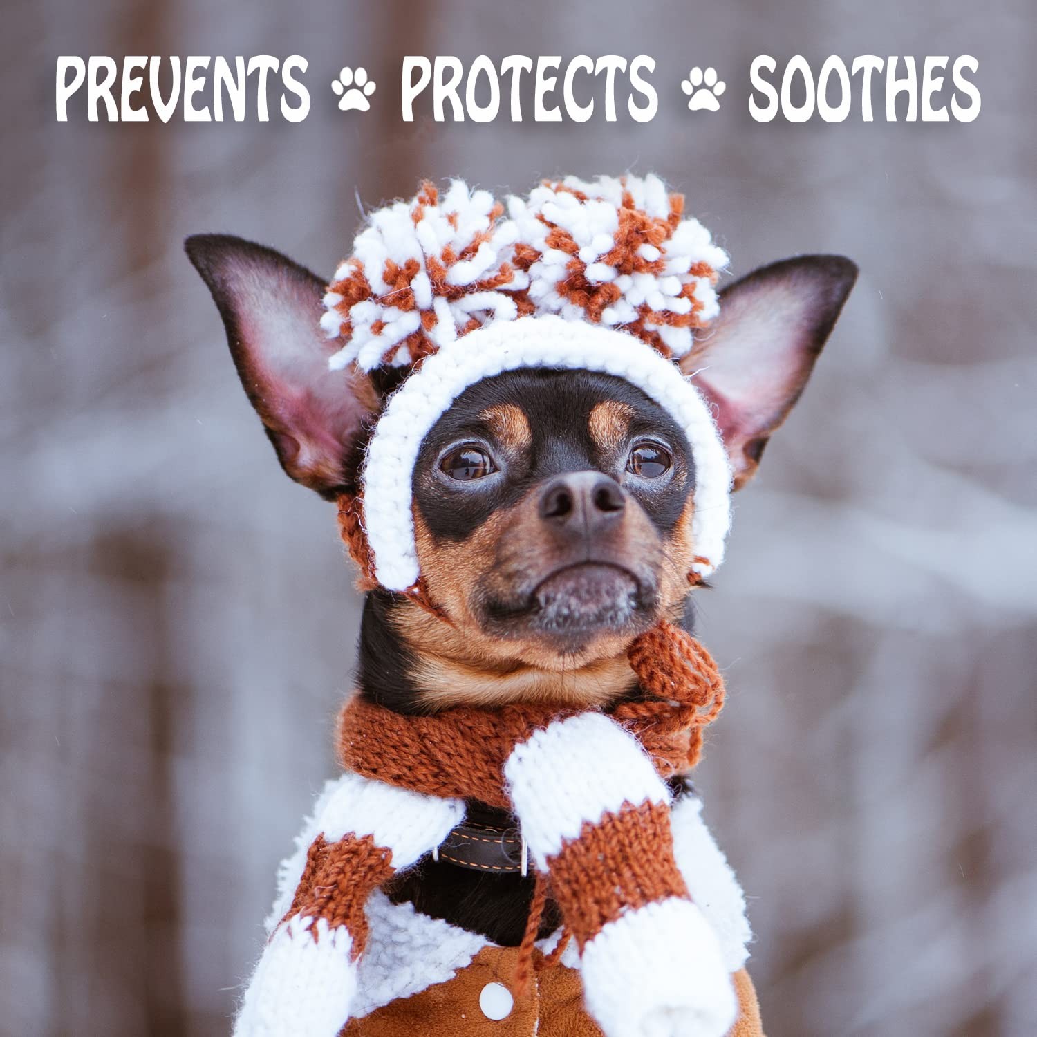 Musher’s Secret Dog Paw Wax 454g (16oz) – All-Natural Dog Balm w/ Vitamin E –...