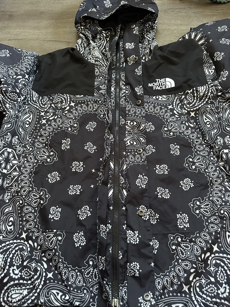 Supreme the north face bandana sale