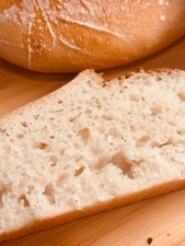GLUTEN FREE Organic Sourdough Bread Starter San Francisco - EASY - 240 yrs old