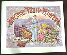 SAN JOSE NEW ALMADEN  SANTA CLARA COUNTY CAL REPRINT OF 1896 HB Like New