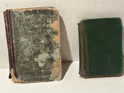 LOT  (2) EARLY 1900s books | Tiggy Winkle/Ray s New Intellectual Arithmetic FAIR