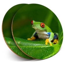 2 x Coasters - Red Eyed Amazon Tree Frog  #46240