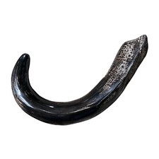 Cape Buffalo Shofar Kosher Horn Shofar, Yemenite Judaica Buffalo Shofar Medium