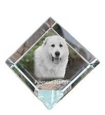 Mastino Dei Pirenei - Cubo Di Cristallo Con Immagine, Immagine Di Cavallo Nel Kr