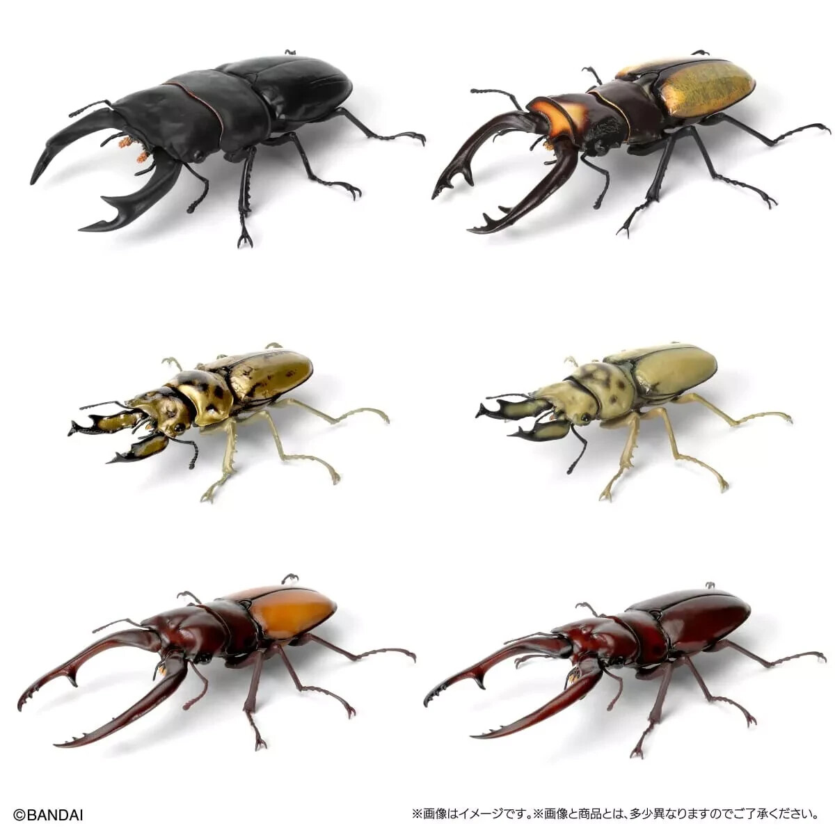 The Diversity of Life on Earth Stag Beetle 09 Figure Bandai