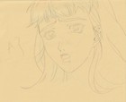The Twelve Kingdoms Juuni Kokki Genga Douga Original Sketches Pierrot - Youko — photo 5