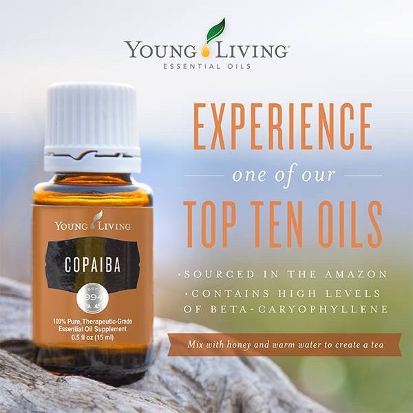 Young Living Copaiba Essential Oil 15 ML Bottle New eBay