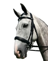 Sabre Cordoba English Cavesson Comfort Bridle Sabre Cordoba English Cavesson Comfort Bridle