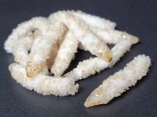 MOP FLY - BODY MATERIAL - CREAM/ TAN - 1-1/4 X 1/4" - Fly Tying Materials