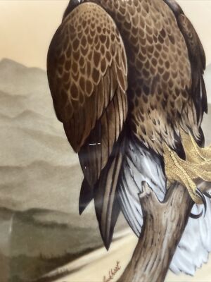 1976 Pickard China American Bald Eagle Plate 13