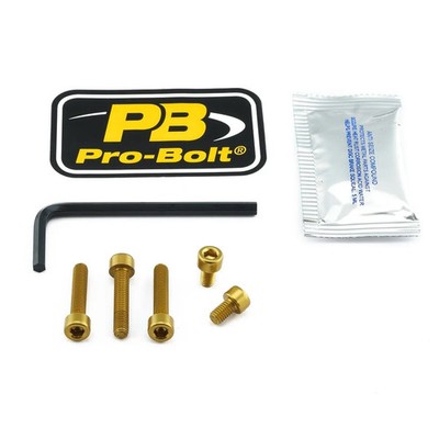PRO BOLT TDU50G KIT TANKDECKEL GOLD DUCATI MONSTER 821 ABS STRIPE 2016