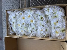 White Daisy Decorative Flower Heads