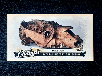 TOXODON 2008-09 UPPER DECK CHAMP'S MINI 08-09 NO C466 55685 | eBay