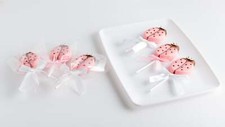 Chocolate Pops Lady Bug