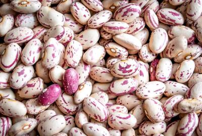 Fresh Dry Canberry Beans By RawJoy | Organic Fresh Canberry Beans