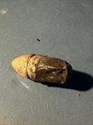 Dug Civil War 💥 🇺🇸 💣 Pistol Bullet W Skin Casing