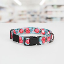 1 Inch Replacement Collar Strap Shock Collar with 2 Holes, Compatible with Ne...