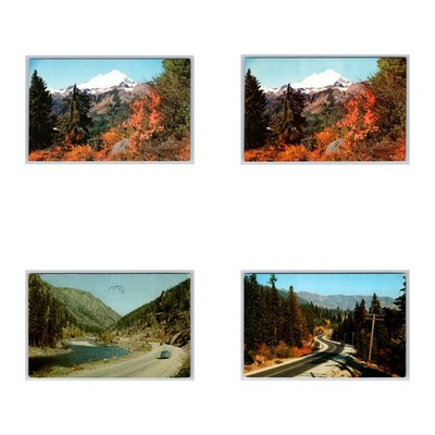 Lot of 4 Vintage Cascade Mountains Postcards Stevens Pass Baker Washington