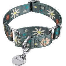 Dazzber Floral Martingale Dog Collar No-Pull Heavy Duty Adjustable Pet Control