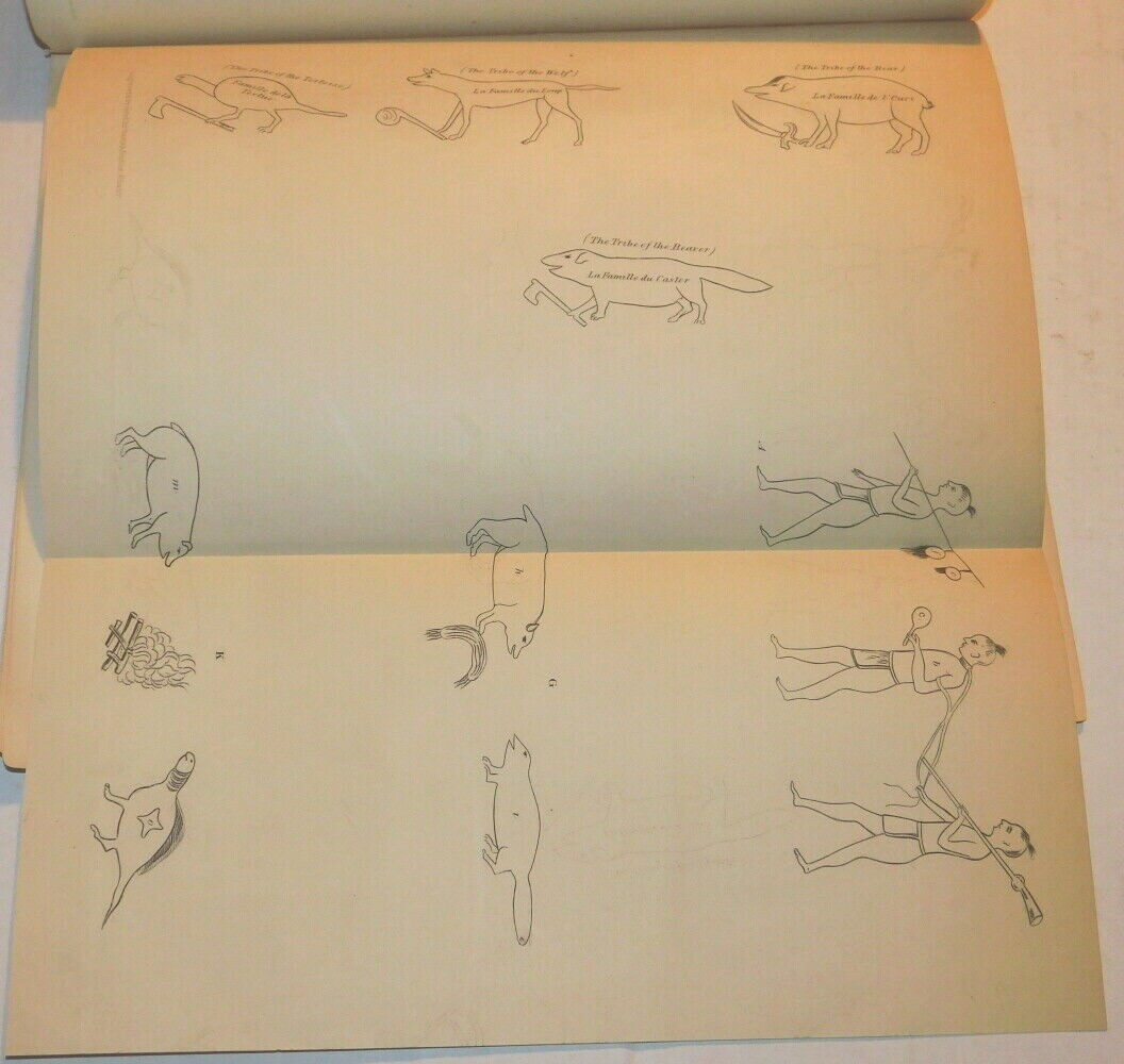 Picture 5 of 7