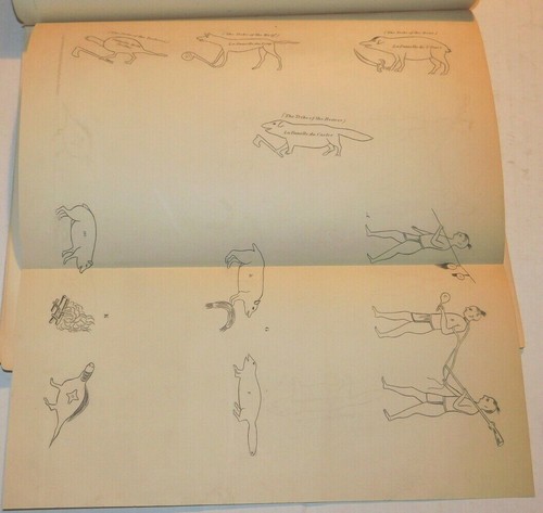 1849 PAPERS RELATING TO THE IROQUOIS & OTHER INDIAN TRIBES w/ FOLDING PLATES - Picture 5 of 7