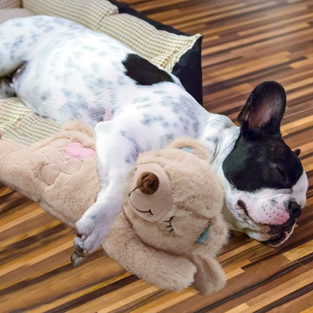 heartbeat lamb for puppies