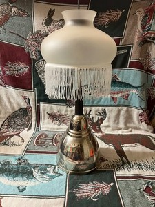 Coleman Lantern Shade | eBay
