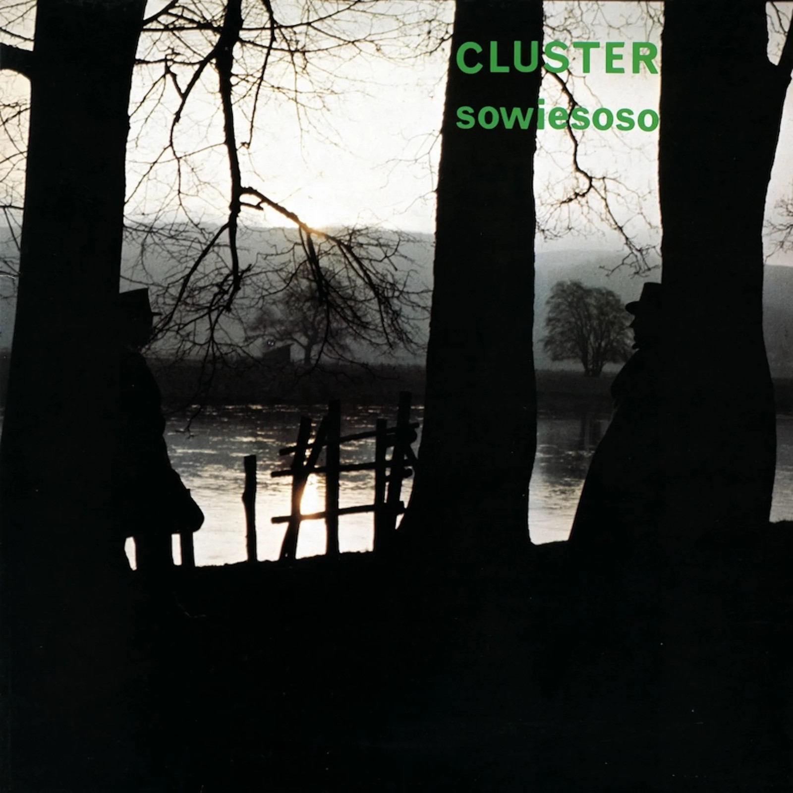 Cluster | Sowiesoso | Vinyl LP - Black / 50th Anniversary Edition