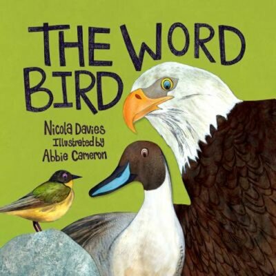 The Word Bird by Nicola Davies: New