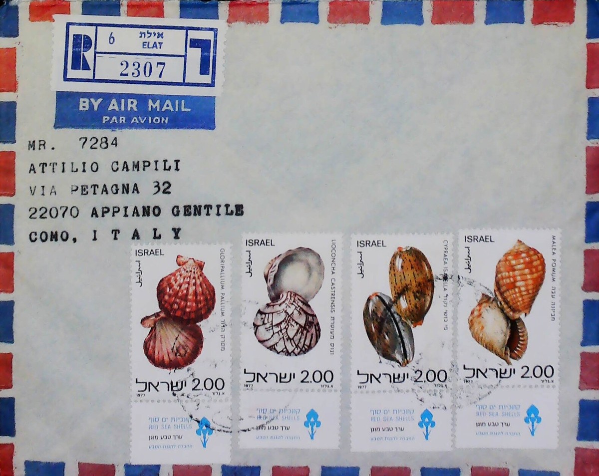 Israel Registered Cover Shells Commemorative Nice Franking X357 | eBay