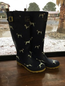 womens dog print rain boots