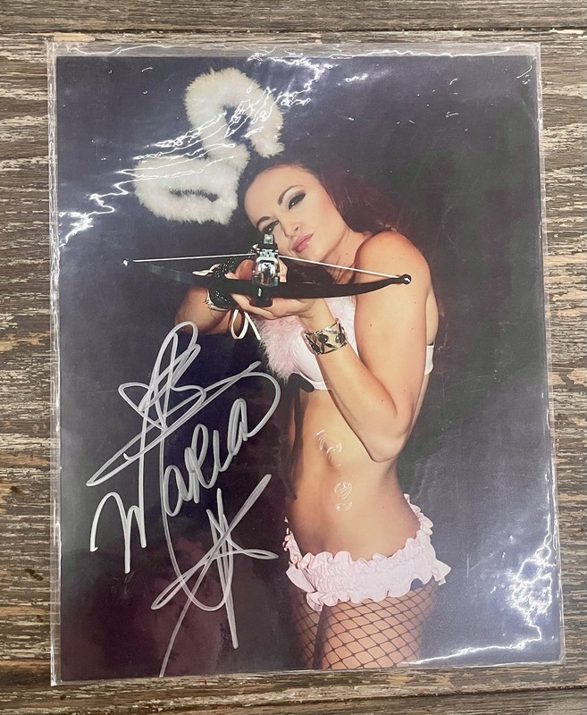 Comic-Con Autographed Poster