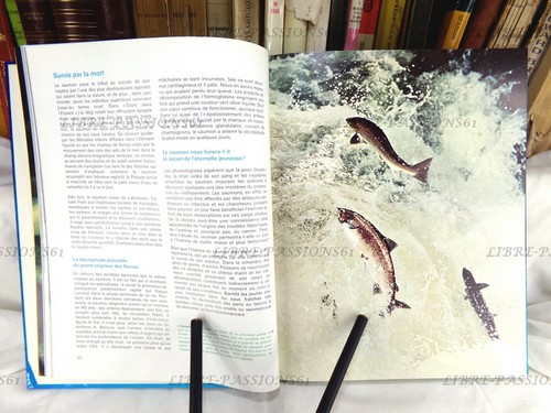 ENCYCLOPÉDIE COUSTEAU, L'OCÉAN ET L'ESPACE, ÉDITIONS ROBERT LAFFONT, 1974 - Picture 7 of 11