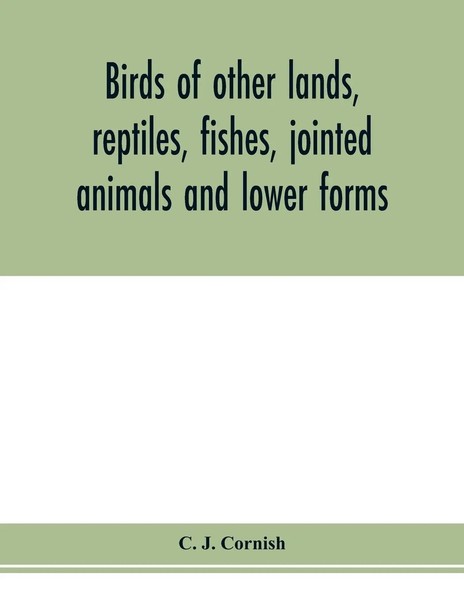 C. J. Cornish | Birds Of Other Lands, Reptiles, Fishes, Jointed Animals And...-image
