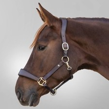 Waldhausen Braun VB Lederhalfter X-Line Anatomic